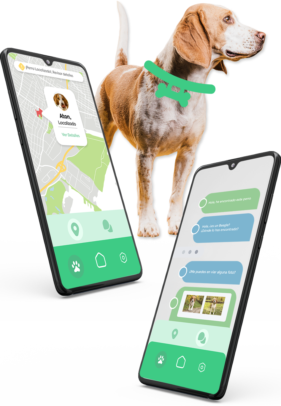Teléfono con app de Taggi y un perro con nuestro taggi collar