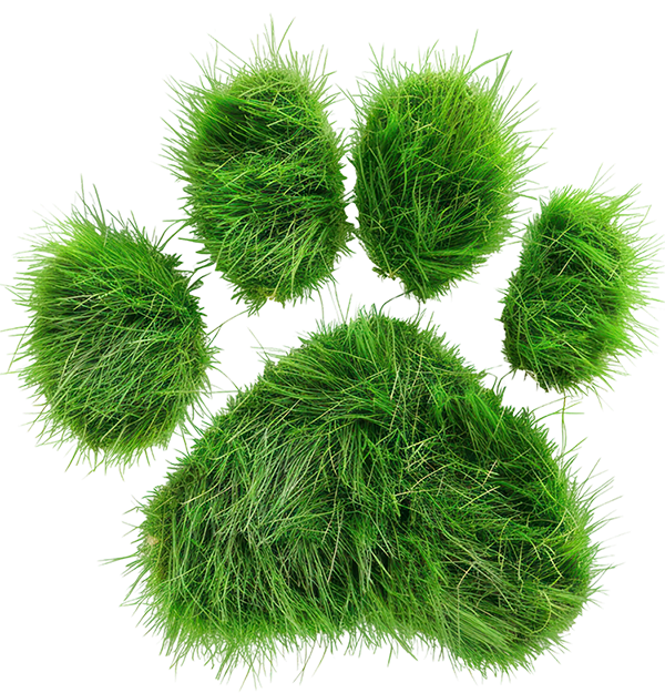 Etiquetas Taggi Ecosostenibles